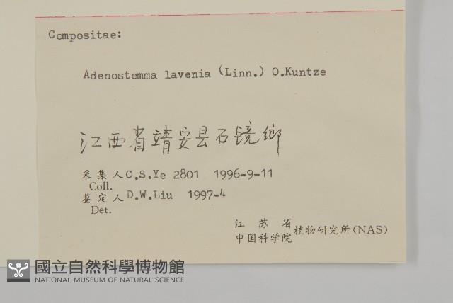 下田菊藏品圖，第3張