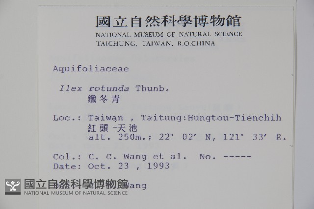 鐵冬青藏品圖，第2張