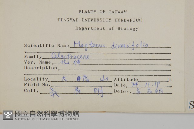 北仲, 刺裸實藏品圖，第2張