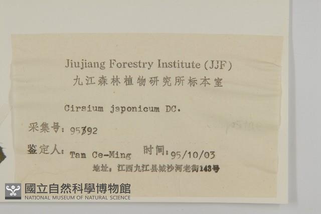 小薊藏品圖，第3張