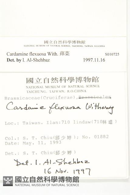 焊菜藏品圖，第2張