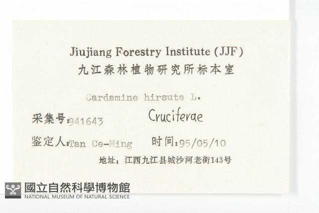 碎米薺藏品圖，第3張