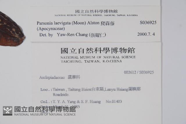 爬森藤藏品圖，第2張