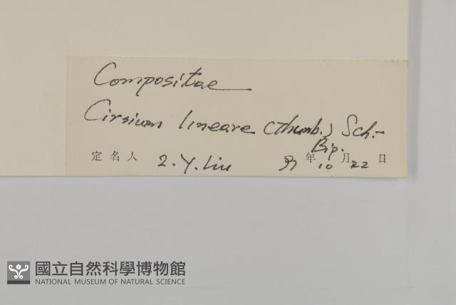 華薊藏品圖，第3張