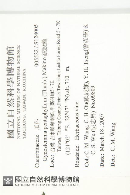 絞股藍藏品圖，第2張