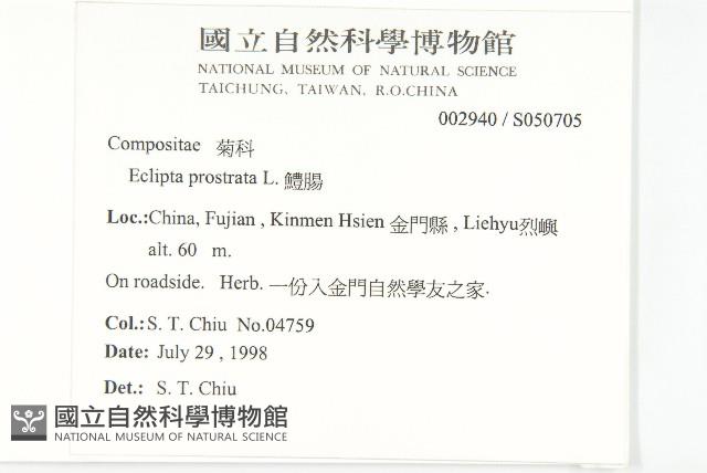 鱧腸藏品圖，第2張