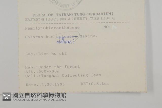 臺灣及己藏品圖，第2張