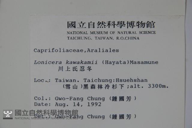 川上氏忍冬藏品圖，第2張