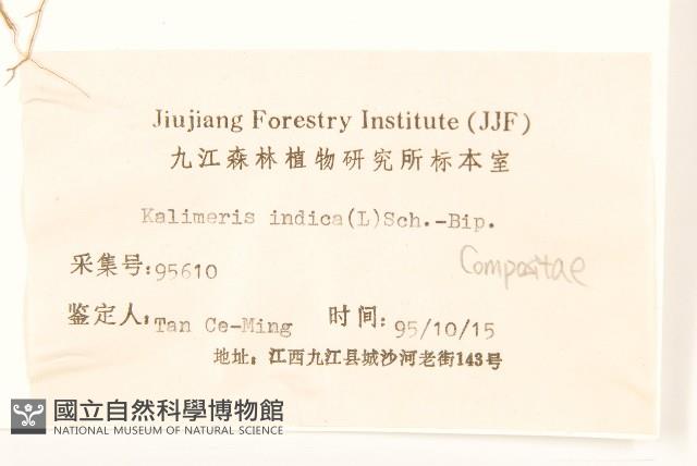 雞兒腸藏品圖，第3張