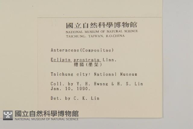 鱧腸藏品圖，第2張