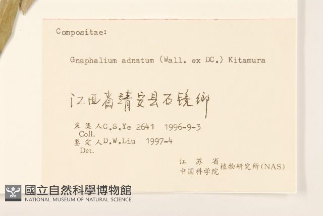 紅面番藏品圖，第3張