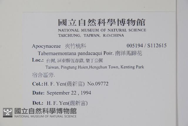 南洋馬蹄花藏品圖，第2張