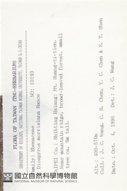 山紅柿藏品圖，第2張