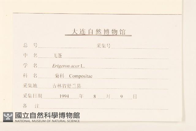 飛蓬藏品圖，第3張