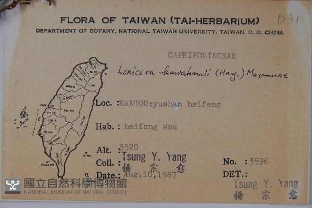 川上氏忍冬藏品圖，第2張