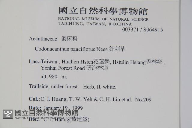 針刺草藏品圖，第2張