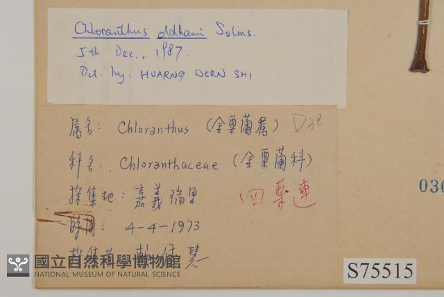 臺灣及己藏品圖，第2張