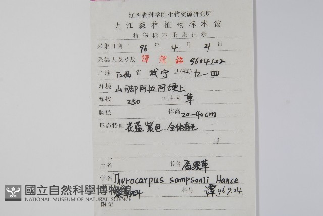 盾果草藏品圖，第2張