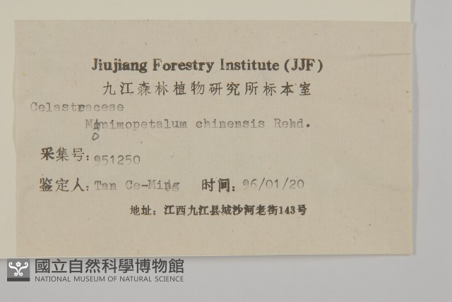 永瓣藤藏品圖，第3張