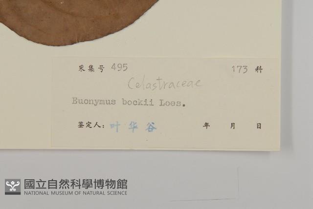 登錄號:S037855藏品圖，第3張