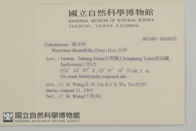 北仲, 刺裸實藏品圖，第2張