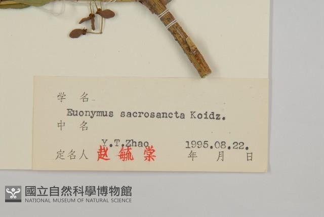 衛矛藏品圖，第3張