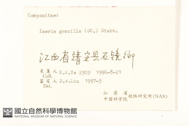 細葉苦實藏品圖，第3張