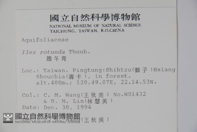 鐵冬青藏品圖，第2張