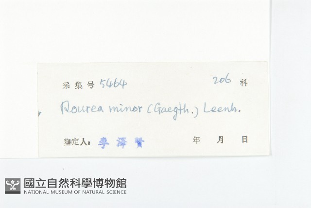 紅葉藤藏品圖，第3張