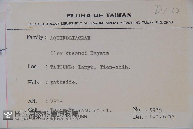 Lanyu holly Collection Image, Figure 2, Total 2 Figures