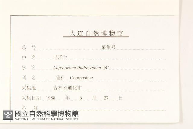 林氏澤蘭藏品圖，第3張