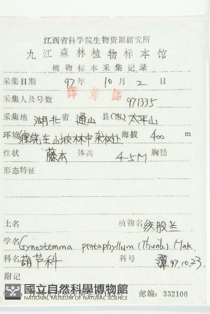 絞股藍藏品圖，第2張