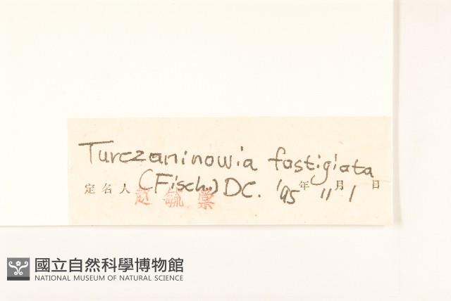 女菀藏品圖，第3張