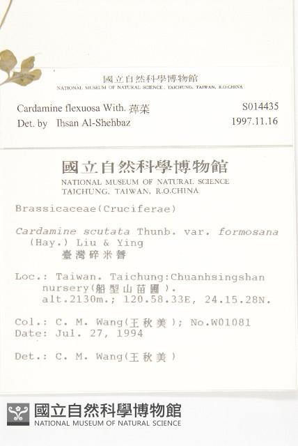 焊菜藏品圖，第2張