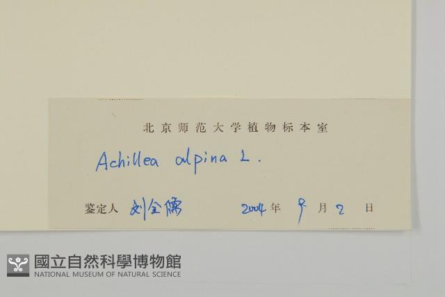 蓍草藏品圖，第3張