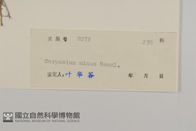 細川氏天名精藏品圖，第3張