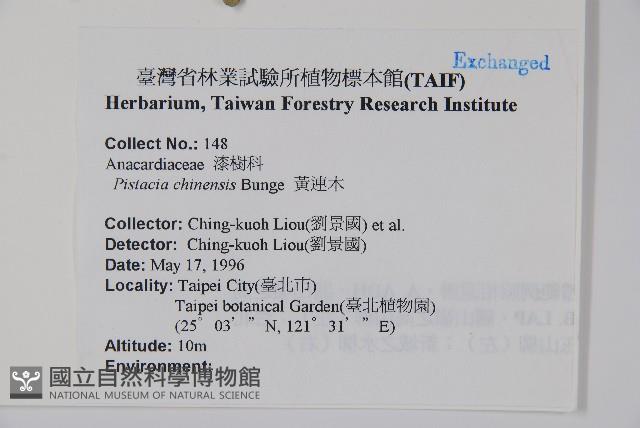 黃連木、爛心木藏品圖，第2張