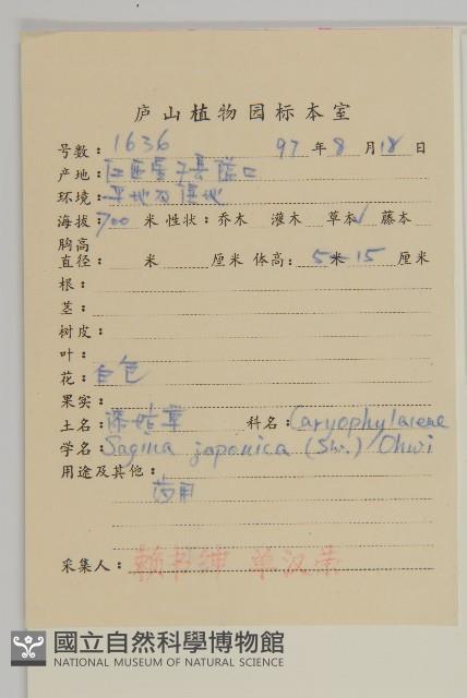 瓜槌草、漆姑草藏品圖，第2張