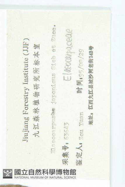 薯豆藏品圖，第3張