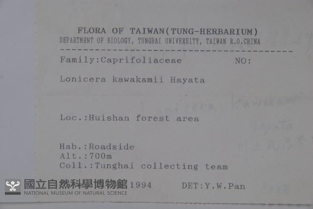 川上氏忍冬藏品圖，第2張