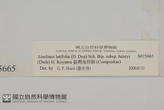 臺灣鬼督郵藏品圖，第3張