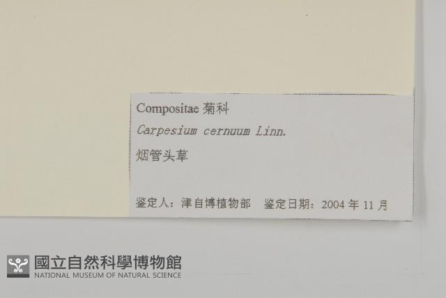 杓兒菜藏品圖，第3張