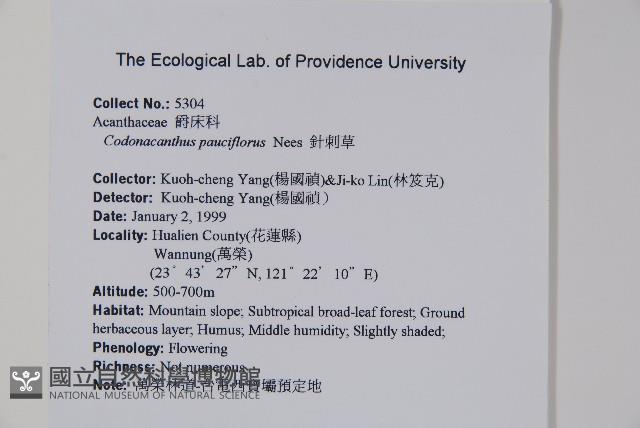 針刺草藏品圖，第2張