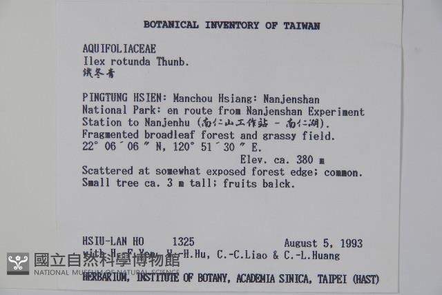 鐵冬青藏品圖，第2張