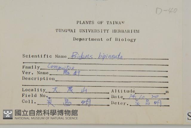 鬼針藏品圖，第2張