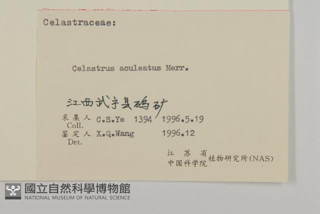 過山楓藏品圖，第3張