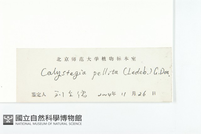 藤長苗藏品圖，第3張