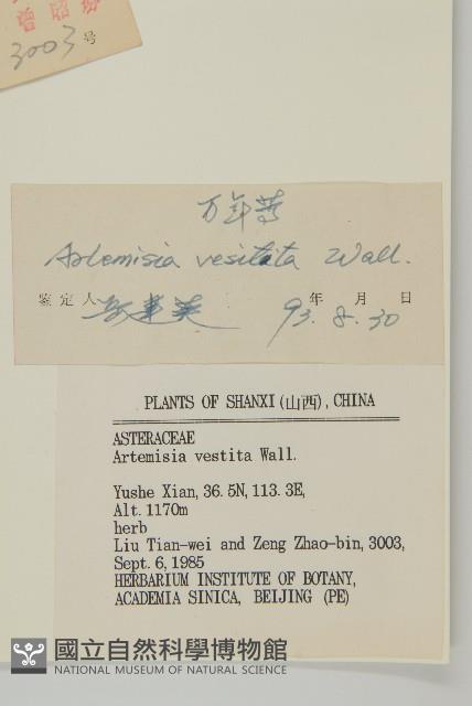 蒿子藏品圖，第3張