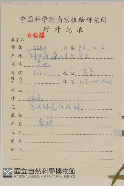 加拿大蓬藏品圖，第2張