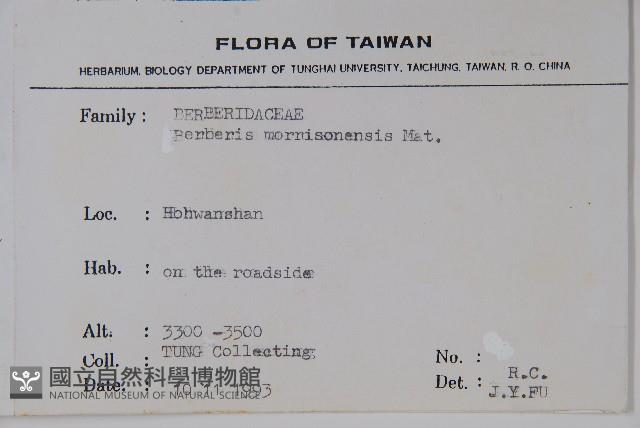 玉山小蘗藏品圖，第2張